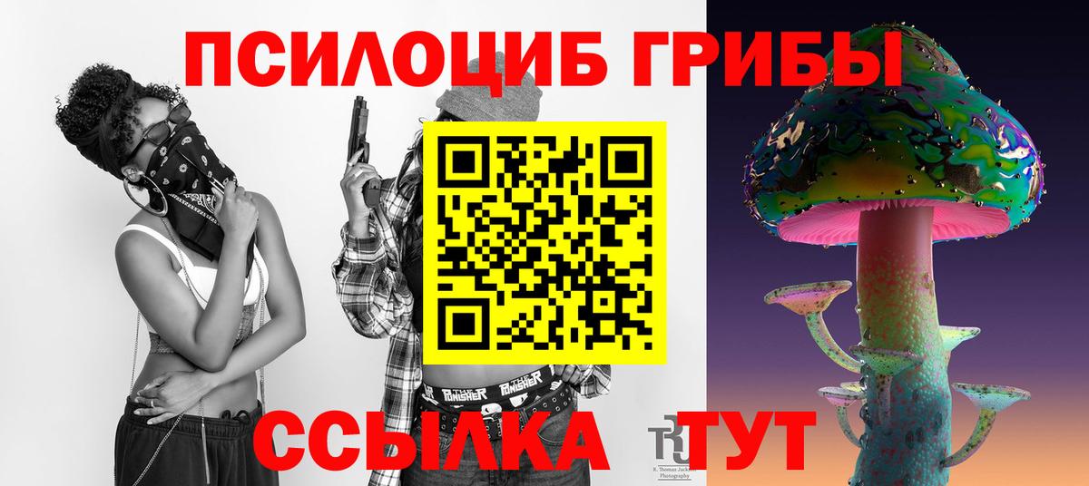 Галлюциногенные грибы Cubensis Омск