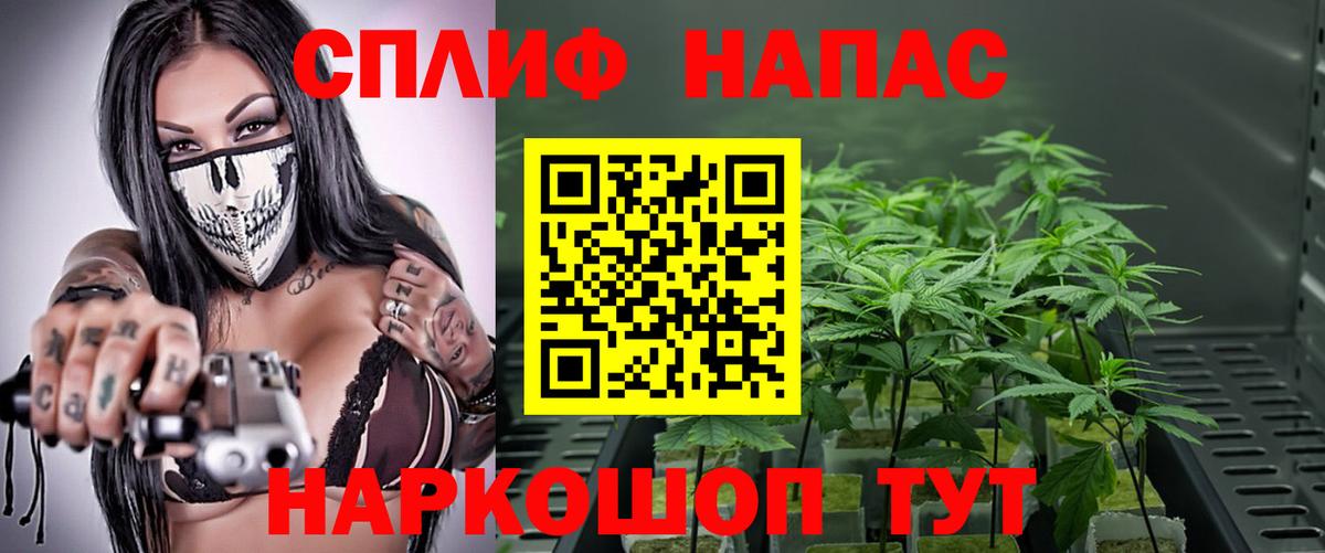 Канабис гибрид Омск